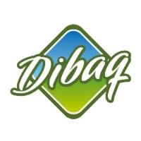 Dibaq_Logo_500x500-1