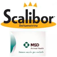 MSD_Scalibor_500x500-1